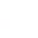 ARES Consulting logo