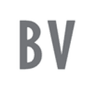 BV Deutsche Zeitungsholding GmbH - Berliner Verlag logo