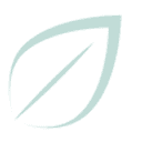 BalancedVital logo