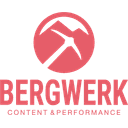 Bergwerk - Digital Experiences AG logo