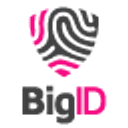 BigID logo