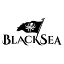 BlackSea Technologies logo