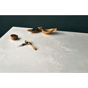 Caesarstone logo