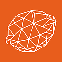 Citrus Systems logo