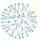 Dandelion Health logo