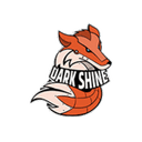 Darkshine Media logo
