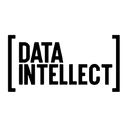 Data Intellect logo