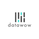 Data Wow Co logo