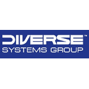 Diverse Systems Group logo