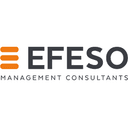 EFESO Management Consultants logo