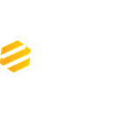 Endo USA logo