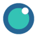 FloVision Solutions logo