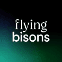 Flyingbisons logo