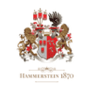 Hammerstein 1870 Group logo