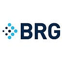 LE001 Berkeley Research Group logo