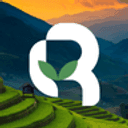 Living Roots logo