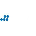 Noetic Strategies logo