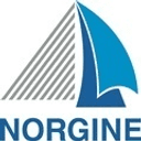 Norgine logo