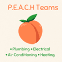 P.E.A.C.H. Teams logo