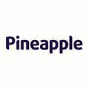 Pineapple Contracts logo