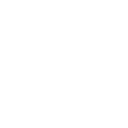 Polaroid International BV logo