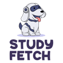 StudyFetch logo
