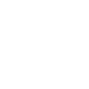 Wellis logo