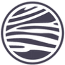 ZYBRA & Birds logo