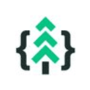 dataforest logo