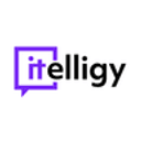 itelligy - digital experts GmbH & Co. KG logo