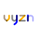 vyzn logo