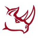 Rhino Security Labs logo